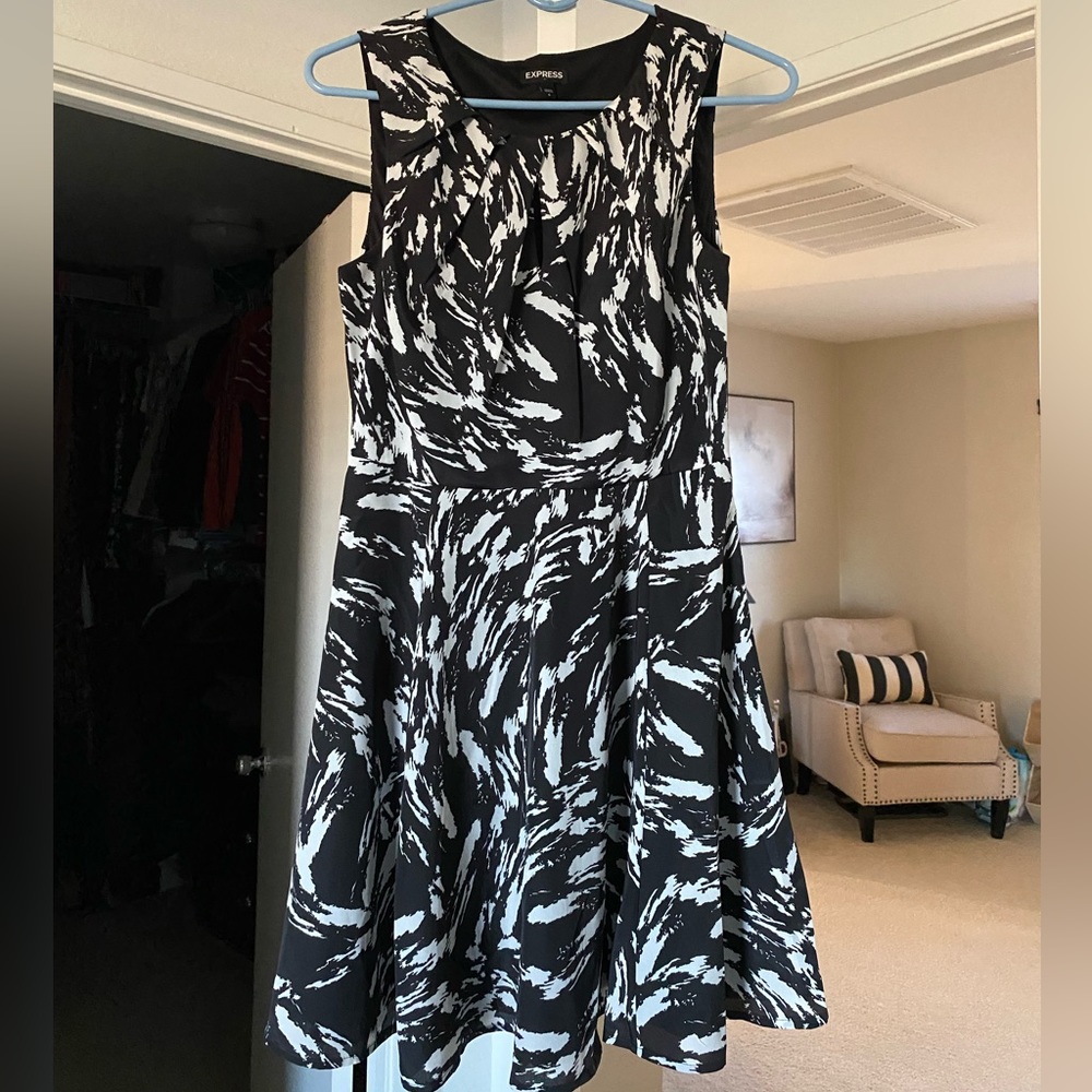 Express printed swing dress